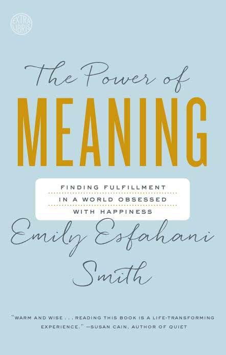 Power of Meaning - Book